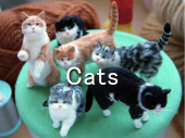 Animals -Cats